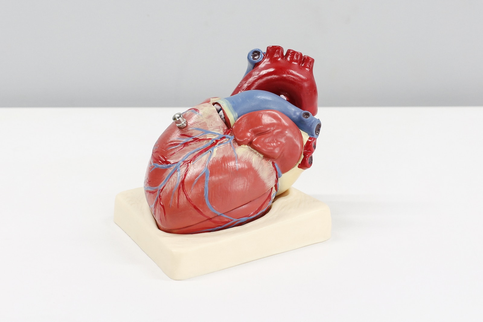 Jakie są najlepsze pigułki odchudzające dla pacjentów z sercem?